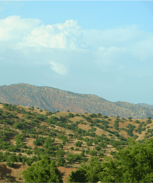 Morocco Walker travel destination -  Majestic peaks of Northern Morocco