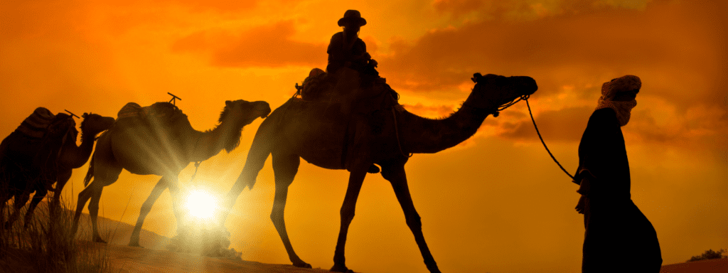 ​morocco walker - ​A Night Under the Stars Total Immersion in the Merzouga Desert -  Preparing for Your Desert Journey: Practical Tips