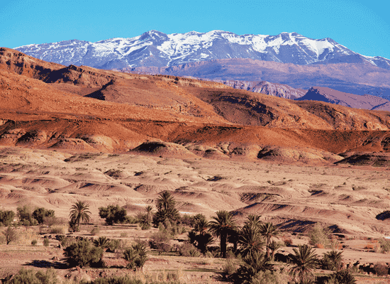 morocco walker travel blog - The Atlas of Silences A 2,000km Odyssey Through the Veins of Invisible Morocco  - Beyond the Red Walls – The Ascent to Tizi n'Outfi