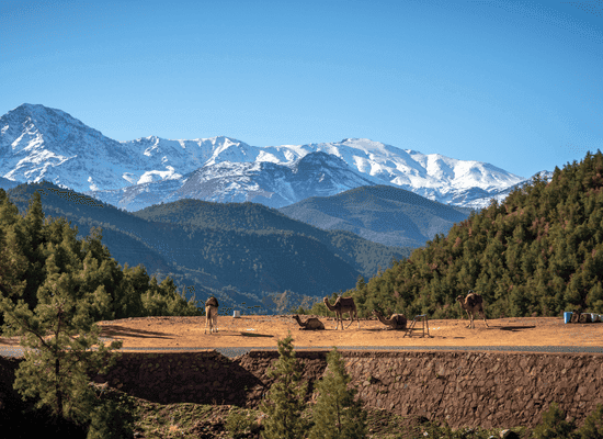 morocco walker travel blog - The Atlas of Silences A 2,000km Odyssey Through the Veins of Invisible Morocco