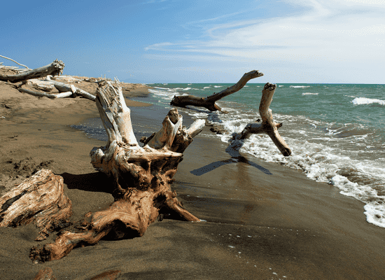 walking the world, through Moroccan eyes. morocco walker Morocco Walker travel blog - Deep Immersion into the Maremma Italy - The Tufa Triangle – Sorano, Pitigliano, and Sovana