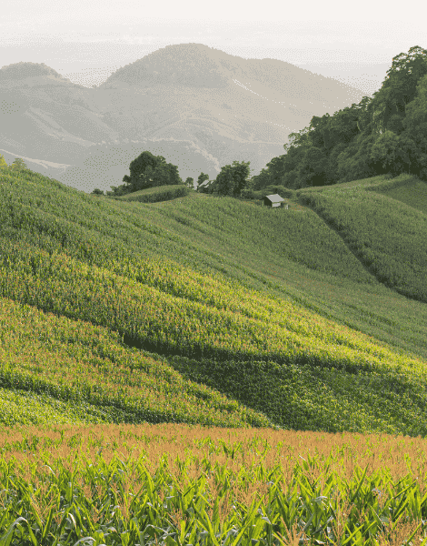 walking the world, one step at a time. morocco walker Morocco Walker travel blog - Nan The Stars of Bo Kluea The Salt of the Sky