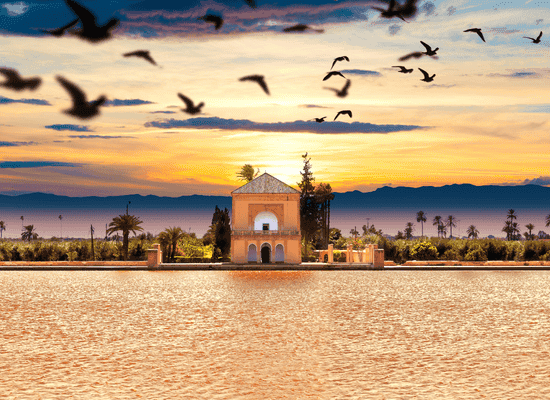 Morocco walker travel blog - A Journey into the Invisible Heart of Marrakech (2026 Edition) - The Gardens of the Invisible – Ancient Orchards and Private Paradises