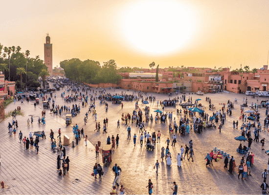 Morocco walker travel blog - A Journey into the Invisible Heart of Marrakech (2026 Edition) - The Logistics of Elegance – Navigating the Ocher Labyrinth