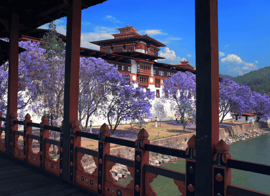 Morocco walker travel blog - Awakening the Thunder Dragon A Deep Immersion into the Soul of Bhutan’s Great Journey - Punakha – The Palace of Great Happiness and the Confluence of Spirits