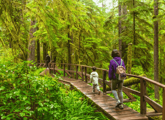 Morocco walker travel blog - Why Ucluelet is the Definitive Dupe for the Wild Heart - The Wild Pacific Trail – A Walk through Deep Time