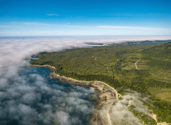 Morocco walker travel blog - Why Ucluelet is the Definitive Dupe for the Wild Heart - Ocean Alchemy – Gastronomy and the Working Harbor