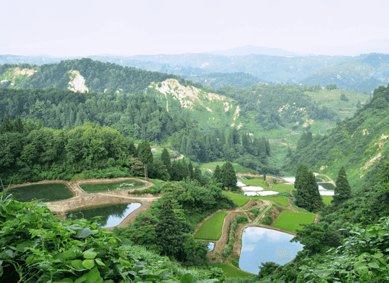 walking the world, one step at a time. morocco walker morocco walker travel blog - Beyond the Pearl The Ultimate Immersion into Phú Quốc 2026 - The Deep Zen Protocol – Wellness and the National Park