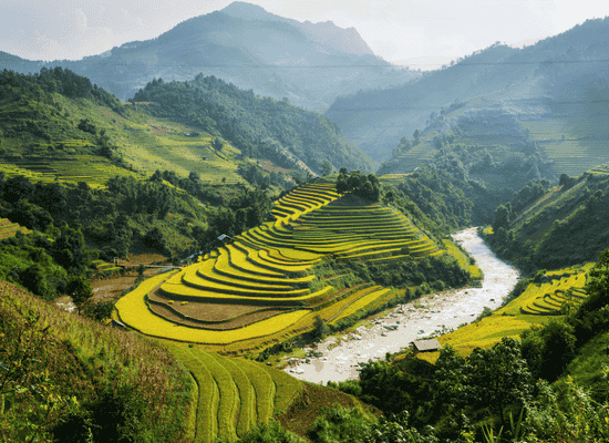 walking the world, one step at a time. morocco walker morocco walker travel blog - Beyond the Pearl The Ultimate Immersion into Phú Quốc 2026 - The Sensory Cartography – Beyond the Resorts