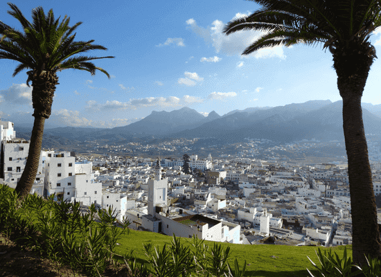 Morocco Walker travel blog - Beyond the Red City The Ultimate 2026 Mediterranean Morocco Road Trip Guide (From Tangier to Oujda) - 2. Tetouan The Soul of Al-Andalus and the Silent Medina