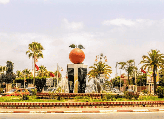 Morocco Walker travel blog - Beyond the Red City The Ultimate 2026 Mediterranean Morocco Road Trip Guide (From Tangier to Oujda) - 7. Berkane & the Zegzel Gorges The Emerald Garden of the Oriental