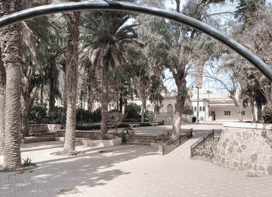 Morocco Walker travel blog - Beyond the Red City The Ultimate 2026 Mediterranean Morocco Road Trip Guide (From Tangier to Oujda) - 9. Oujda The Thousand-Year-Old Gateway to the Desert