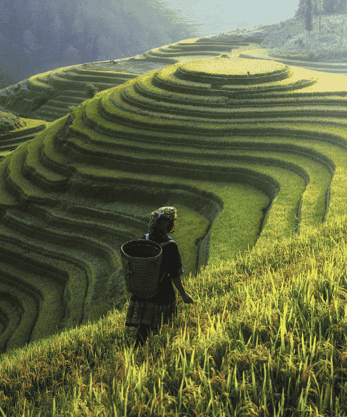 Morocco walker travel blog - categorie Vietnam