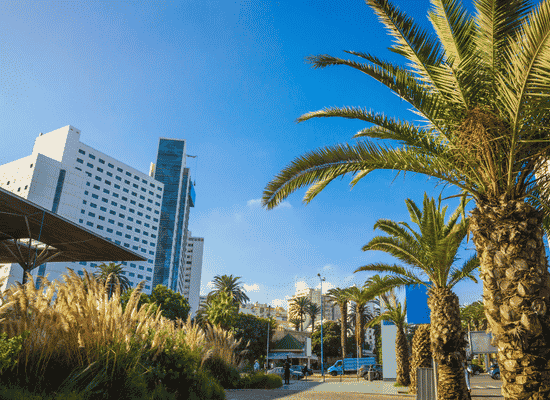 walking the world, through Moroccan eyes. morocco walker Morocco walker travel blog - Casablanca Through The Serenity Of Yassine Bounou - 4. The Urban Walker Track Route Logistics for the Retro Explorer